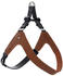 braun