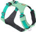 leichtes Geschirr M 69-81cm Sage Green (30821-330M)