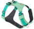 leichtes Geschirr S 56-69cm Sage Green (30821-330S)