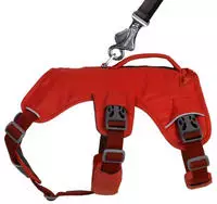 Ruffwear 30104-625-XXS (33-43cm), Ruffwear Web Master Hundegeschirr (Gr&ouml;&szlig;e XXS