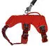 Ruffwear Web Master