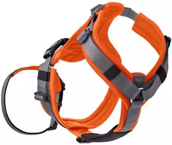 Hunter Sicherheitsgeschirr Maldon M orange (69652)