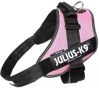 Julius K-9 Powergeschirr 1 / L dunkelpink (150408)