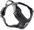 Wolters Geschirr Active Pro