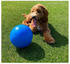 The Company of Animals Boomer Ball