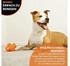 Bionic Hundespielzeug Stuffer 12,5cm