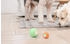Cheerble Wicked Ball PE Elektronischer Interaktiver Hundespielzeug grün (C0722G)