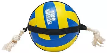 Beeztees Action Volleyball mit Seil