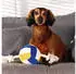 Beeztees Volleyball mit Seil aus Plüsch 27 cm