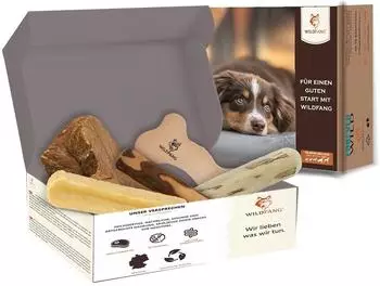 Wildfang &reg; Kauwurzel / Kauspielzeug Paket Hundebox Kauspa&szlig; L