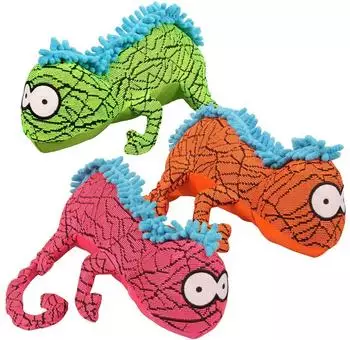 coockoo Rango