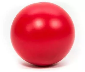 Procyon Treibball, rot