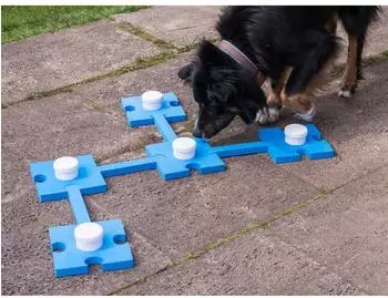 Procyon Schn&uuml;ffelspa&szlig; Schn&uuml;ffeltrainer, blau
