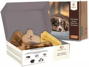Wildfang Welpen Paket "Willkommen Jungspund" Kauspielzeug Set kleine Hunderassen (S)