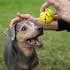 Zeus Hundespielzeug Nitro Ball mit Gewicht, Größe: S