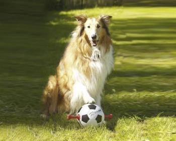 Karlie Actionball-Fußball (19 cm)
