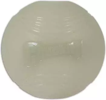Chuckit! Max Glow Ball XL