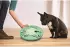 Nina Ottosson Dog Worker Composite