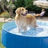 Intex Faltbarer Hunde-Pool (48400NP)