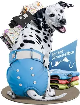 Hund IST König Hundewindeln M 3 Stk.
