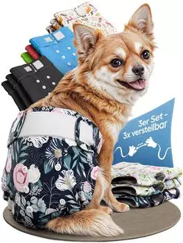 Hund IST König Windeln für Hündinnen XS (3 Stk.)