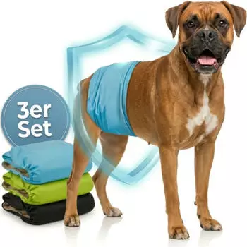 Hund IST K&ouml;nig Hundewindeln f&uuml;r R&uuml;den XXL 3 Stk.