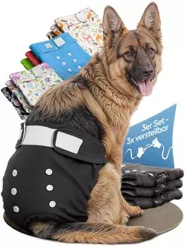 Hund IST K&ouml;nig Hundewindeln schwarz f&uuml;r H&uuml;ndinnen L 3 Stk.