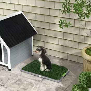 Pawhut Hundetoilette mit 2 Grasmatten