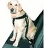 Trixie Sicherheitsgurt BodyGuard Classic Dog Protect (Gr.L)