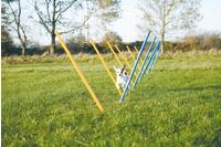 TRIXIE 32091, TRIXIE Pylonen-Hindernis-Set, 3 St&uuml;ck, &Oslash; 23 x 30 cm / 78 cm, orange /