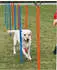 Trixie Agility Slalom 12 Stangen 115x3cm
