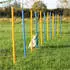 Trixie Agility Slalom 12 Stangen 115x3cm