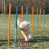 Trixie Agility Slalom 12 Stangen 115x3cm