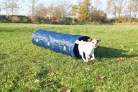 TRIXIE 3210, TRIXIE Fun Agility Mini Tunnel, &Oslash; 40 cm / 2 m, blau