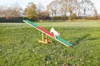 Trixie Agility Wippe