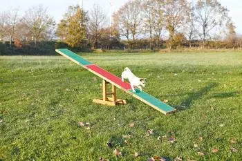Trixie Agility Wippe (300 x 54 x 34 cm)