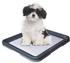 Nobby Doggy Trainer S (48 x 41 x 3.5 cm)