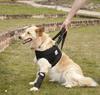 Nature Pet© Tragehilfe Hund vorne - optimale Unterstützung für operierte,...