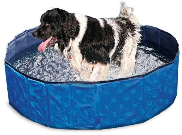 Karlie Doggy Pool 80x20cm blau-schwarz