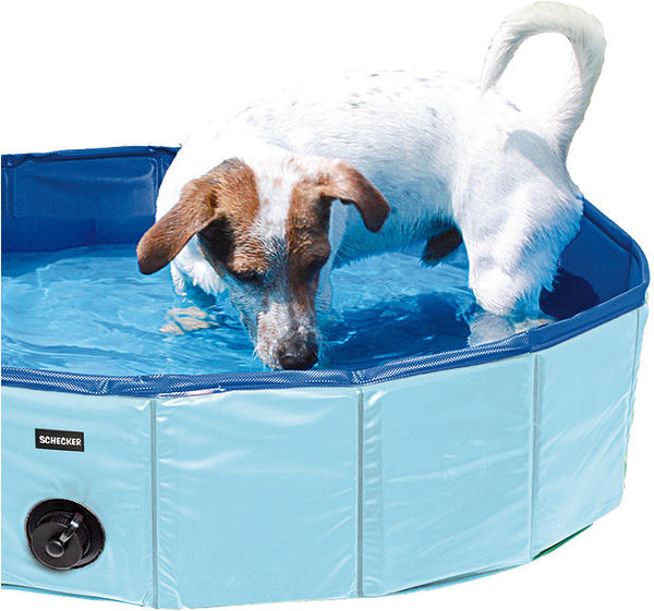 Schecker Doggy Pool 80 x 20 cm