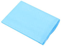 vidaXL Hunde-Toilettenmatten 100 Stk. 60&times;45 cm Vliesstoff