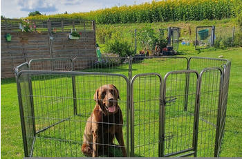 MyPets Welpenfreigehege 80x80cm (SN-07)