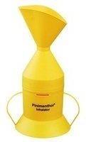 Pinimenthol Inhalator 1 St