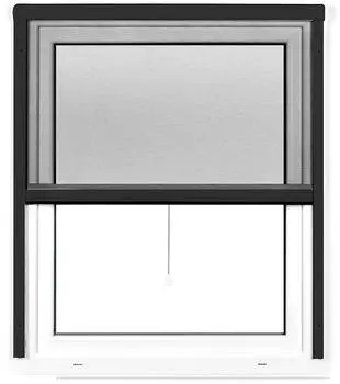 Jarolift 4-in-1 Rollo Zanzara 160 x 180 cm anthrazit