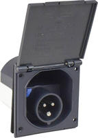 Cee Caravan-einspeisungsstecker 3polig Anthrazit 230v 16a Ip44