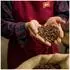 Melitta Café Harmonie Entkoffeiniert gemahlen (500 g)