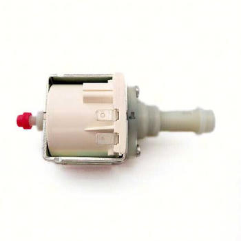 Saeco Pumpe Vibration EP5GW 48W 230V 50Hz - Magic / Royal u.a.