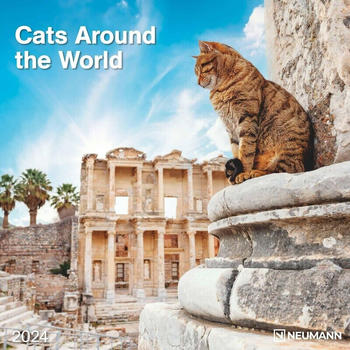 teNeues Cats Around The World 2024 30x60cm Geöffnet