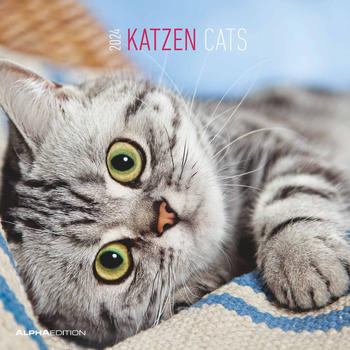 Alpha Edition Katzen 2024 30x30/60cm