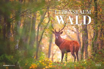Alpha Edition Lebensraum Wald 2024